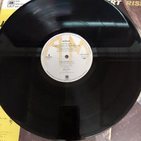 แผ่นเสียง Herb Alpert - Rise Vinyl VG+