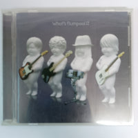 ซีดี Flumpool - What's Flumpool CD VG+