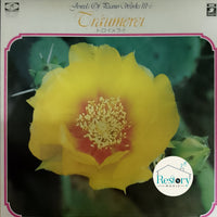 แผ่นเสียง Various - Träumerei - Jewels Of Piano Works 111-6 Vinyl VG+