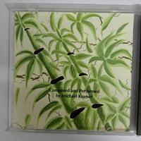 ซีดี Michael Kramer - Zen Of Nature CD VG