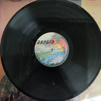 แผ่นเสียง Iruka - いつか冷たい雨が Vinyl VG+