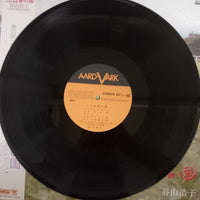 แผ่นเสียง Hiroko Taniyama - ここは春の国 Vinyl VG+