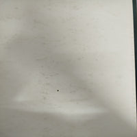 แผ่นเสียง Camille Saint-Saëns, Feike Asma, Roberto Benzi - Symphonie N°3 Avec Orgue Vinyl VG+