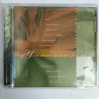 ซีดี Brian Withycombe - You Were Meant For Me: An Instrumental Tribute CD NM or M-