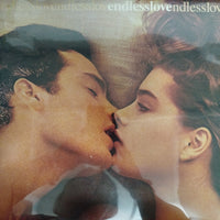 แผ่นเสียง Various - Endless Love Vinyl VG+