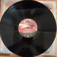 แผ่นเสียง Carpenters - A Kind Of Hush Vinyl VG+