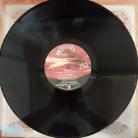 แผ่นเสียง Carpenters - A Kind Of Hush Vinyl VG+