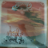 แผ่นเสียง Carpenters - A Kind Of Hush Vinyl VG+