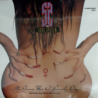 แผ่นเสียง The S.O.U.L. S.Y.S.T.E.M. Introducing Michelle Visage - It's Gonna Be A Lovely Day Vinyl VG+ 2LPs