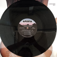 แผ่นเสียง The S.O.U.L. S.Y.S.T.E.M. Introducing Michelle Visage - It's Gonna Be A Lovely Day Vinyl VG+ 2LPs