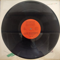 แผ่นเสียง Fun Fun - Color My Love Vinyl VG+