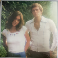 แผ่นเสียง Carpenters - Horizon Vinyl VG+