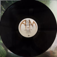 แผ่นเสียง Carpenters - Horizon Vinyl VG+