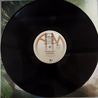 แผ่นเสียง Carpenters - Horizon Vinyl VG+