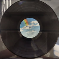 แผ่นเสียง Ray Parker Jr. - I Love You Like You Are Vinyl VG