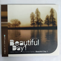 ซีดี Various - Beautiful Day 1 CD VG+