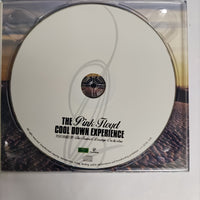 ซีดี The Sunset Lounge Orchestra - The Pink Floyd Cool Down Experience CD NM