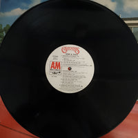 แผ่นเสียง Carpenters - Now & Then Vinyl VG