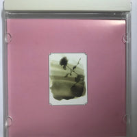 ซีดี Various - La Fille Aux Chevaux De Lin CD VG+