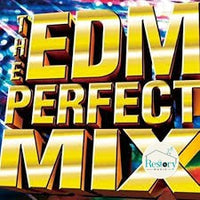 ซีดี Various - The Edm Perfect Mix CD VG 2CDs
