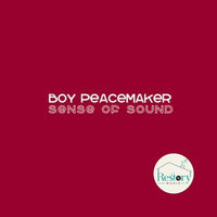ซีดี บอย Peacemaker - Boy Peacemaker Sense of Sound CD VG