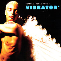 ซีดี Terence Trent D'Arby - Terence Trent D'Arby's Vibrator* CD VG+