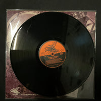 แผ่นเสียง Larry McNeely - Rhapsody For Banjo Vinyl VG+