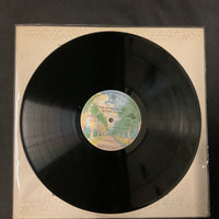 แผ่นเสียง The Doobie Brothers - Livin' On The Fault Line Vinyl VG+