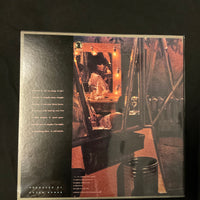 แผ่นเสียง Linda Ronstadt - Simple Dreams Vinyl VG+