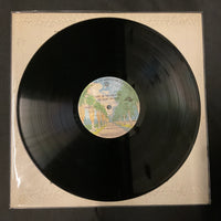 แผ่นเสียง The Doobie Brothers - Livin' On The Fault Line Vinyl VG+