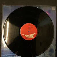 แผ่นเสียง Dave Matthews Presents Grand Cross - Grand Cross Vinyl VG+