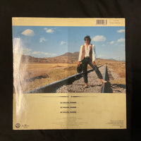 แผ่นเสียง Laurent Voulzy - Le Soleil Donne Vinyl VG+