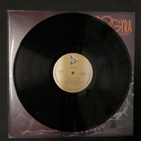 Spyro Gyra - Spyro Gyra Vinyl VG+