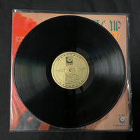 แผ่นเสียง Frances Yip - Golden Hits Vinyl VG+