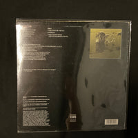 แผ่นเสียง The Floors - Truths And Distortions Vinyl VG+