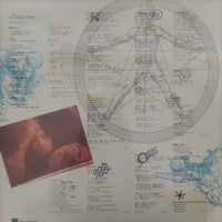 แผ่นเสียง Lily - Lilycism = りりシズム Vinyl VG+