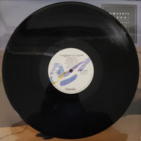 แผ่นเสียง Dweezil Zappa - My Guitar Wants To Kill Your Mama... Vinyl VG+