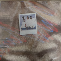 แผ่นเสียง The Ritchie Family - Welcome, The Best Of Ritchie Family Vinyl VG+