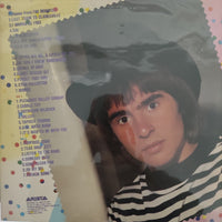 แผ่นเสียง The Monkees - Golden Story Vinyl VG+ 2LPs