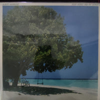 แผ่นเสียง Albert Hammond - Your World And My World Vinyl VG+