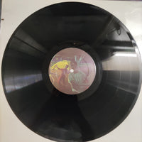 แผ่นเสียง Various - Dance Hall Of Shame Vinyl VG+