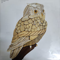 แผ่นเสียง Lindstrøm & Prins Thomas - Turkish Delight Vinyl VG+