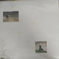 แผ่นเสียง Hiroko Taniyama - ねこの森には帰れない Vinyl VG+