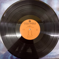 แผ่นเสียง Hiroshi Miyagawa = Hiroshi Miyagawa - Symphonic Suite Yamato = 交響組曲 宇宙戦艦ヤマト Vinyl VG+