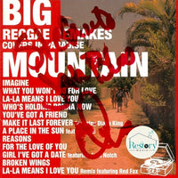 ซีดี Big Mountain - Reggae Remakes - Covers In Paradise CD VG+