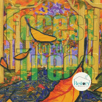 ซีดี Forest For The Trees - Forest For The Trees CD VG+