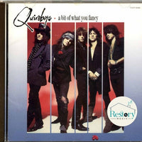 ซีดี The Quireboys - A Bit Of What You Fancy CD VG+