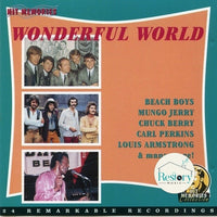 ซีดี Various - Wonderful World CD G+