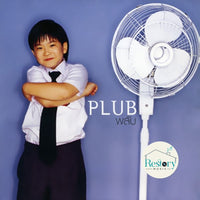 ซีดี PLUB - พลับ CD VG+