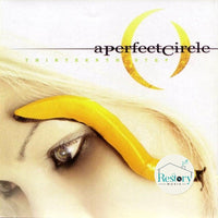 ซีดี A Perfect Circle - Thirteenth Step CD VG